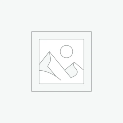 Especialidade – Mecânica de Automóveis