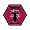 Especialidade – Anatomia Humana