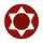 Estrelas de Atividade – Sênior