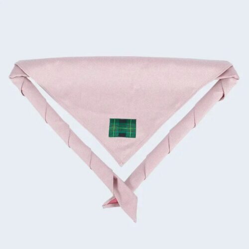 lenco-gilwell.jpg Lenço de Gilwell