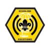 Especialidade – Echolink