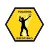 Especialidade – Voleibol