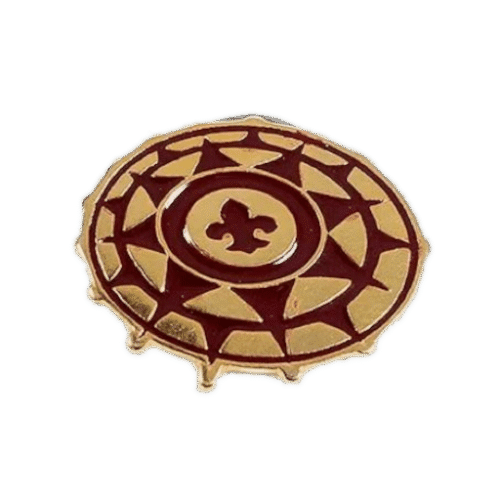 pin-ramo-senior.png PIN Ramo Sênior